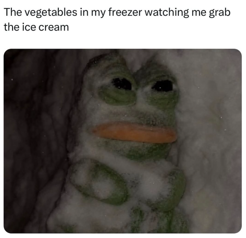 The vegetables in my freezer watching me grab the ice cream