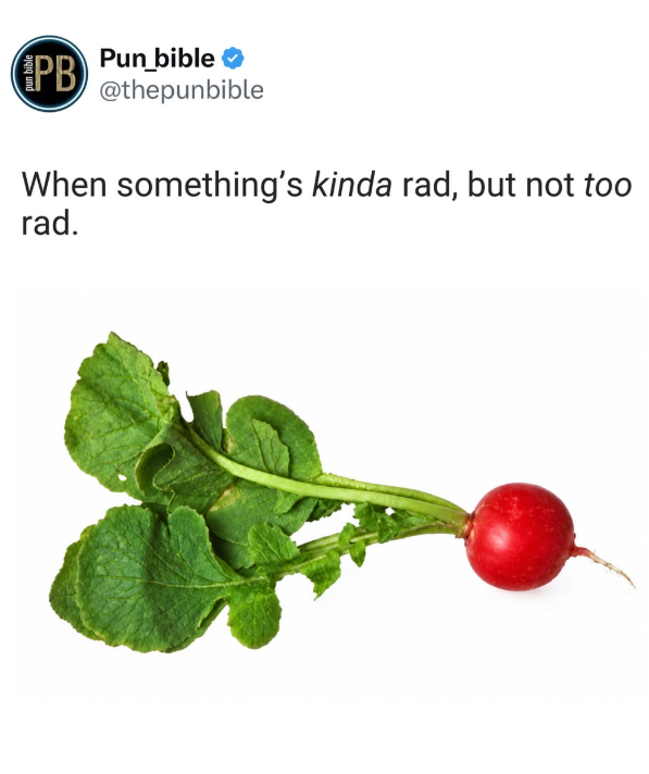 pun bible PB Pun_bible ❤ @thepunbible When something's kinda rad, but not too rad.