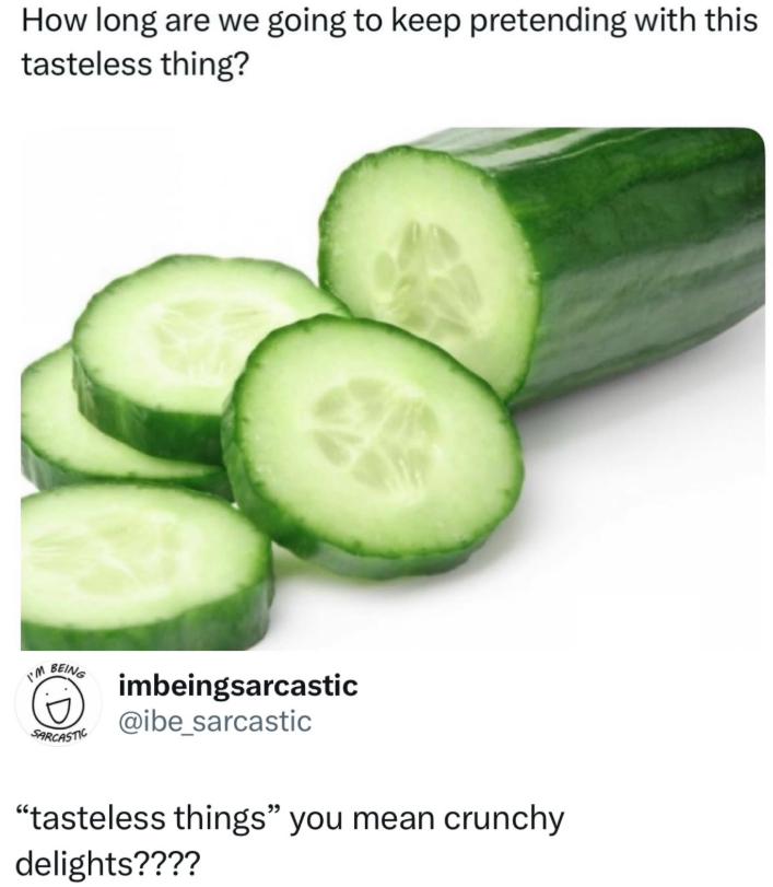 How long are we going to keep pretending with this tasteless thing? I'M BEING SARCASTIC imbeingsarcastic @ibe_sarcastic "tasteless things" you mean crunchy delights????