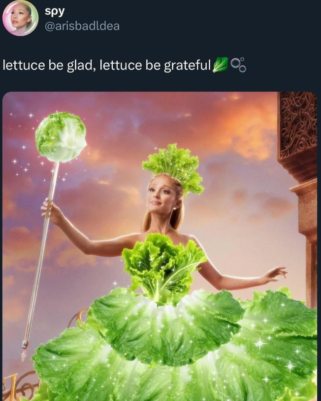 spy @arisbadldea lettuce be glad, lettuce be grateful0°