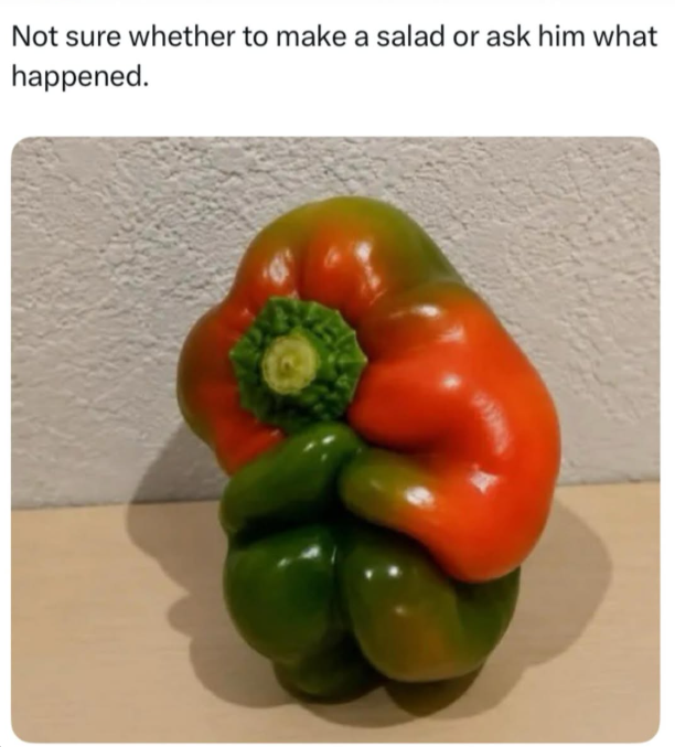 Not sure whether to make a salad or ask him what happened.