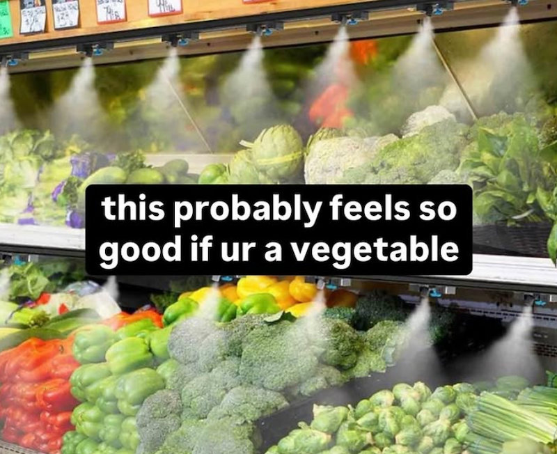 this probably feels so good if ur a vegetable