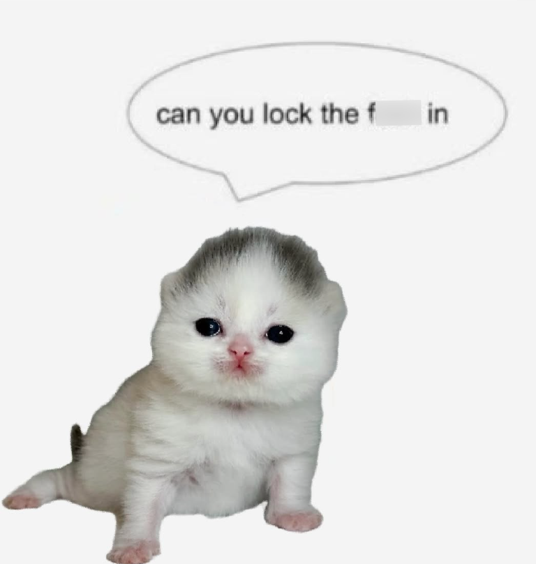 can you lock the fin