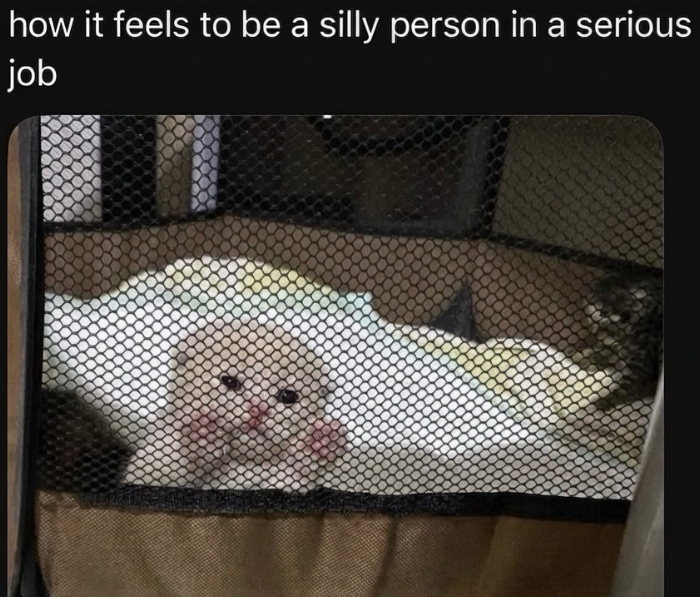 how it feels to be a silly person in a serious job