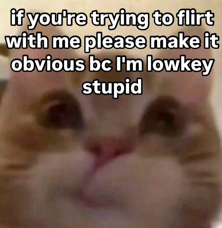 if you're trying to flirt with me please make it obvious bc I'm lowkey stupid