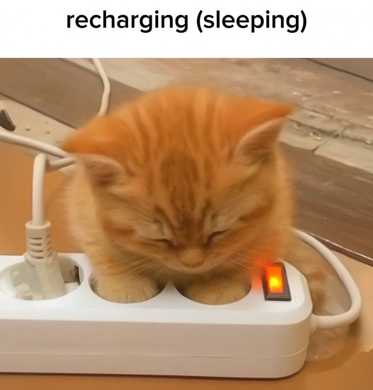recharging (sleeping)