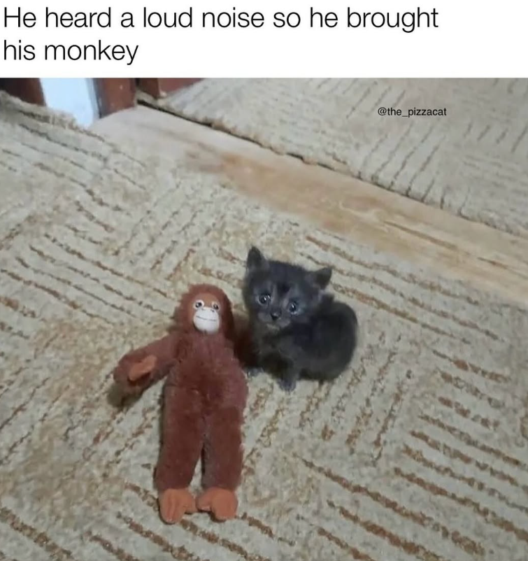 He heard a loud noise so he brought his monkey @the_pizzacat