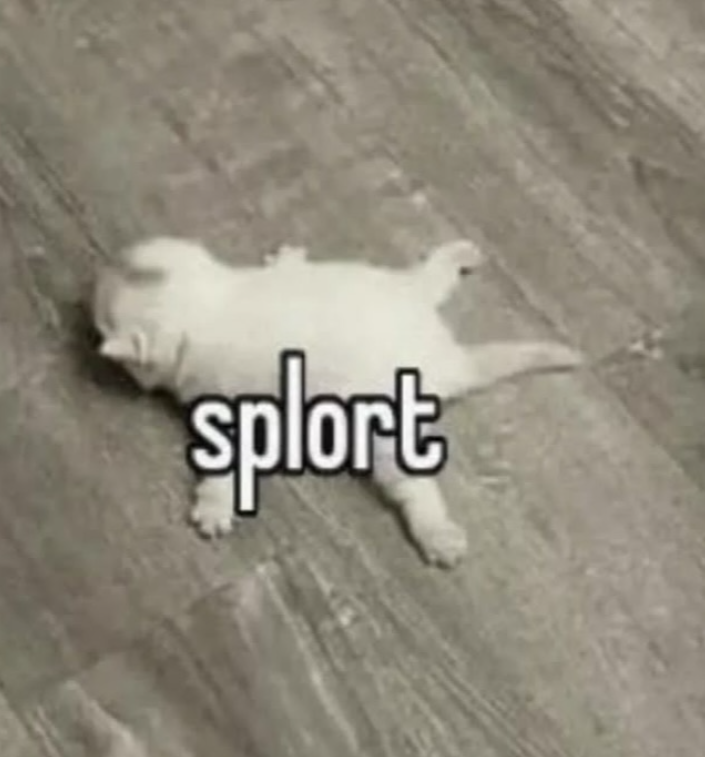 splort