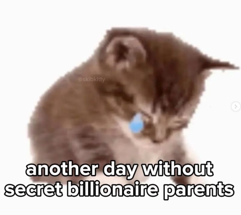 @skibkitty another day without secret billionaire parents