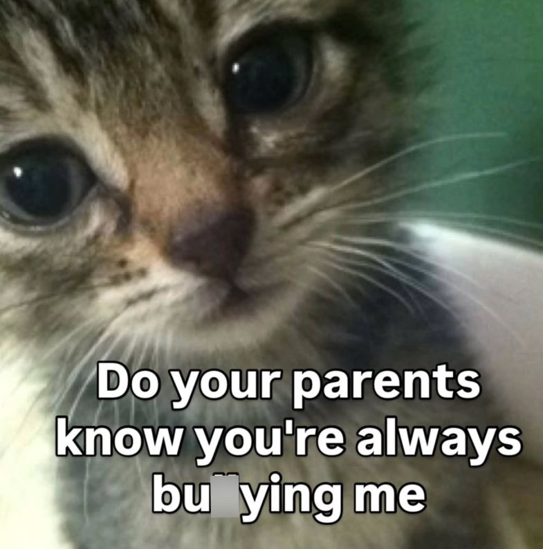 Do your parents know you're always bu ying me