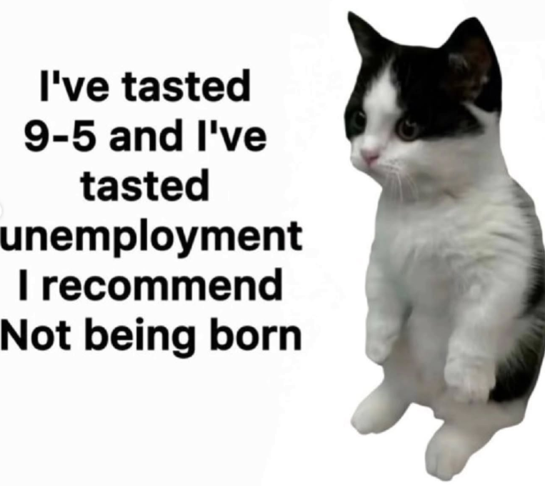 I've tasted 9-5 and I've tasted unemployment I recommend Not being born