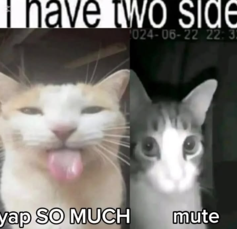 I have two side 024-06-22 22: 3 yap SO MUCH mute