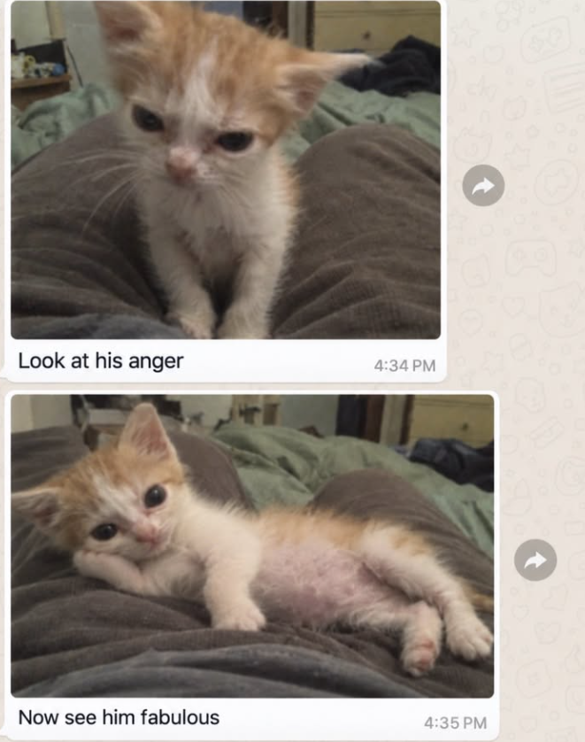 Look at his anger 4:34 PM Now see him fabulous 4:35 PM