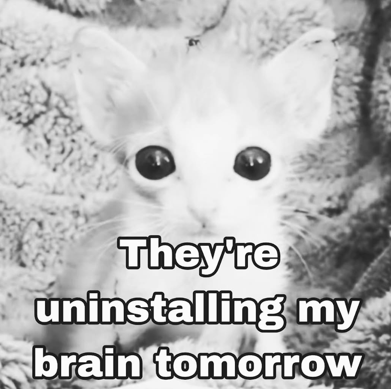 They're uninstalling my brain tomorrow