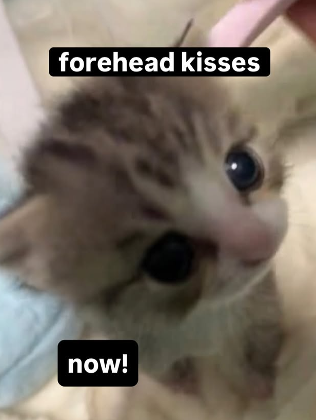 forehead kisses now!