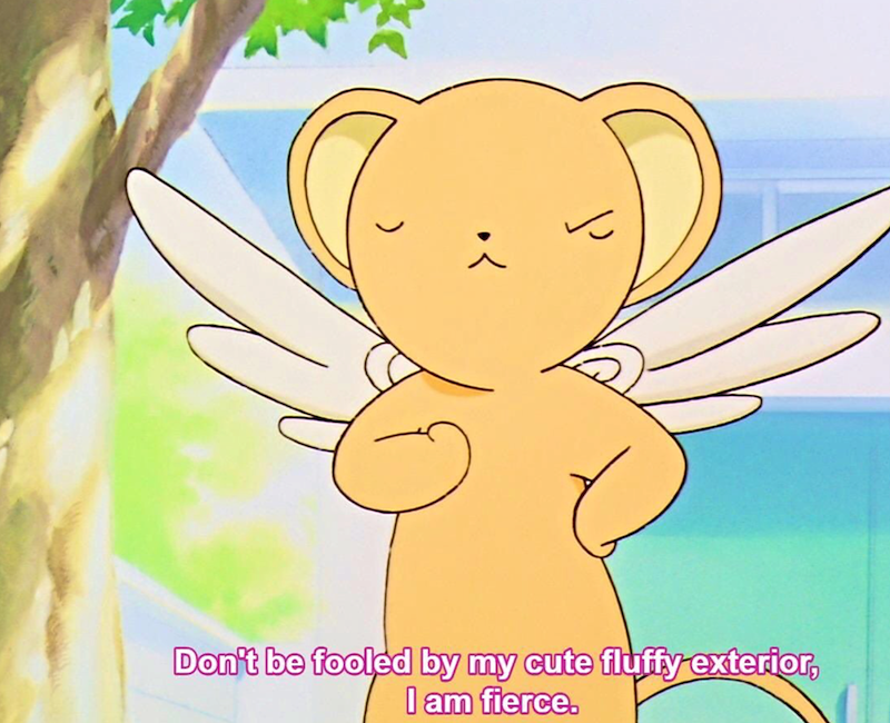 Don't be fooled by my cute fluffy exterior, I am fierce.