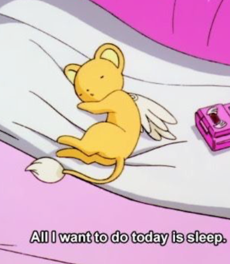 All I want to do today is sleep.