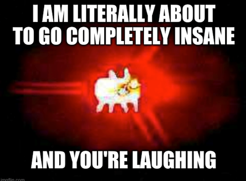 I AM LITERALLY ABOUT TO GO COMPLETELY INSANE imaflin.com AND YOU'RE LAUGHING