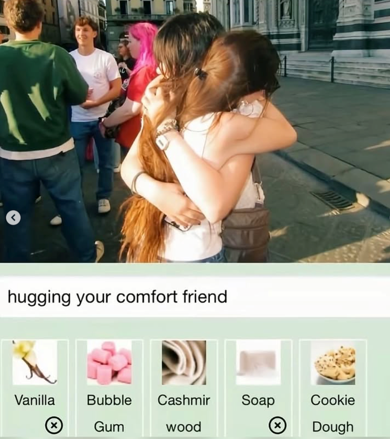 hugging your comfort friend Vanilla Bubble Cashmir Soap Cookie ☑ Gum wood Dough