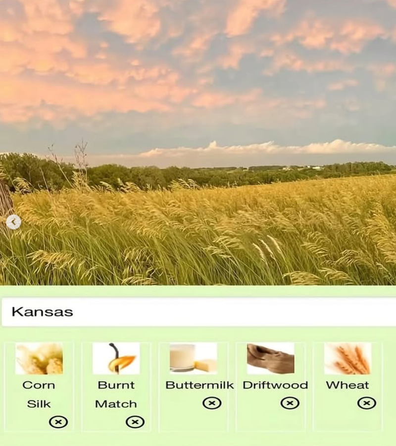 Kansas Corn Burnt Buttermilk Driftwood Wheat Silk Match
