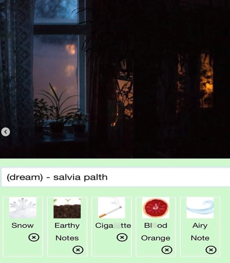 (dream) salvia palth Snow Earthy Ciga tte Blood Airy Notes Orange Note ☑