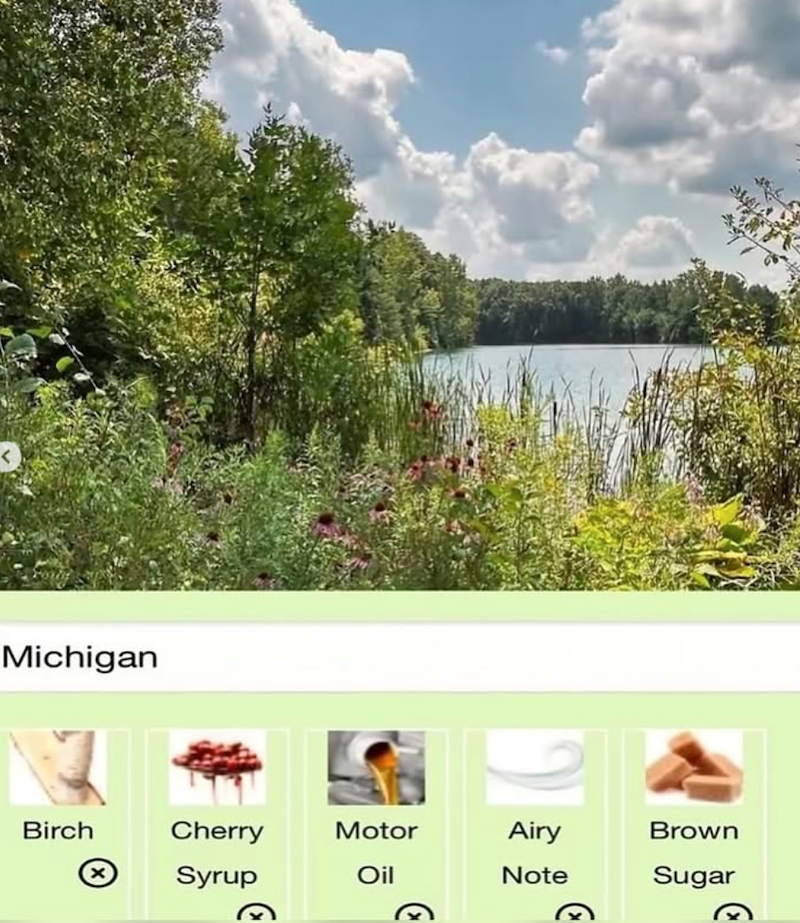 Michigan Birch Cherry Motor Airy Brown Syrup Oil Note Sugar
