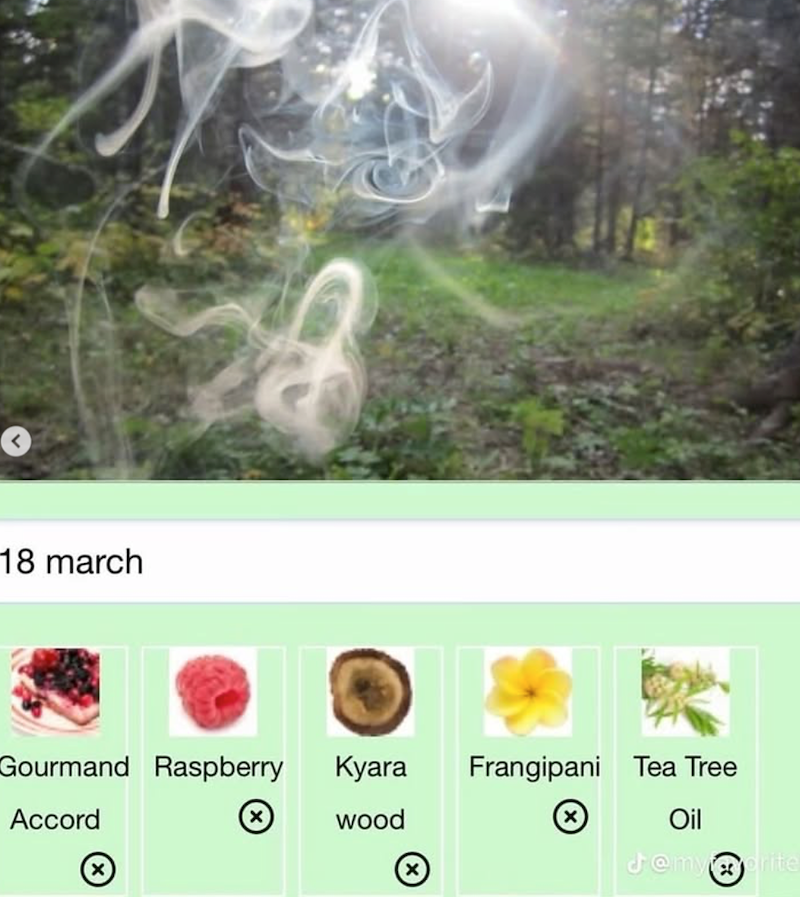 18 march Gourmand Raspberry Kyara Frangipani Tea Tree Accord wood Oil J@my@grite