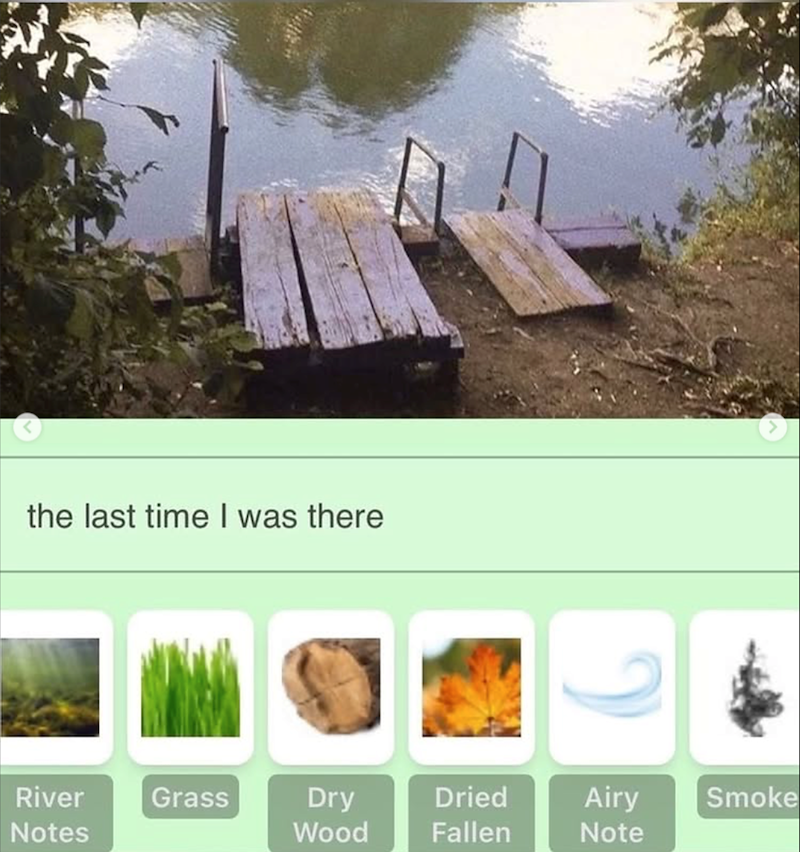 the last time I was there River Notes Grass Dry Dried Airy Smoke Wood Fallen Note