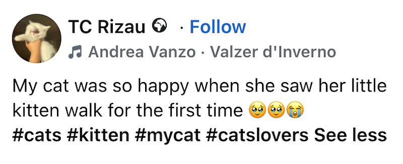 TC Rizau · Follow Andrea Vanzo ⚫ Valzer d'Inverno My cat was so happy when she saw her little kitten walk for the first time #cats #kitten #mycat #catslovers See less
