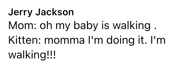 Jerry Jackson Mom: oh my baby is walking. Kitten: momma I'm doing it. I'm walking!!!