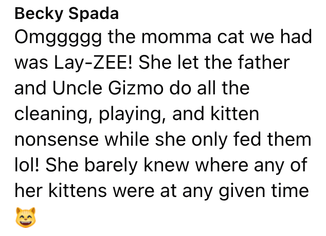 Becky Spada Omggggg the momma cat we had was Lay-ZEE! She let the father and Uncle Gizmo do all the cleaning, playing, and kitten nonsense while she only fed them lol! She barely knew where any of her kittens were at any given time