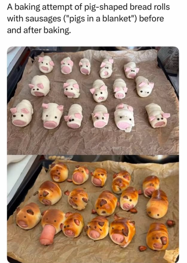 A baking attempt of pig-shaped bread rolls with sausages ("pigs in a blanket") before and after baking.