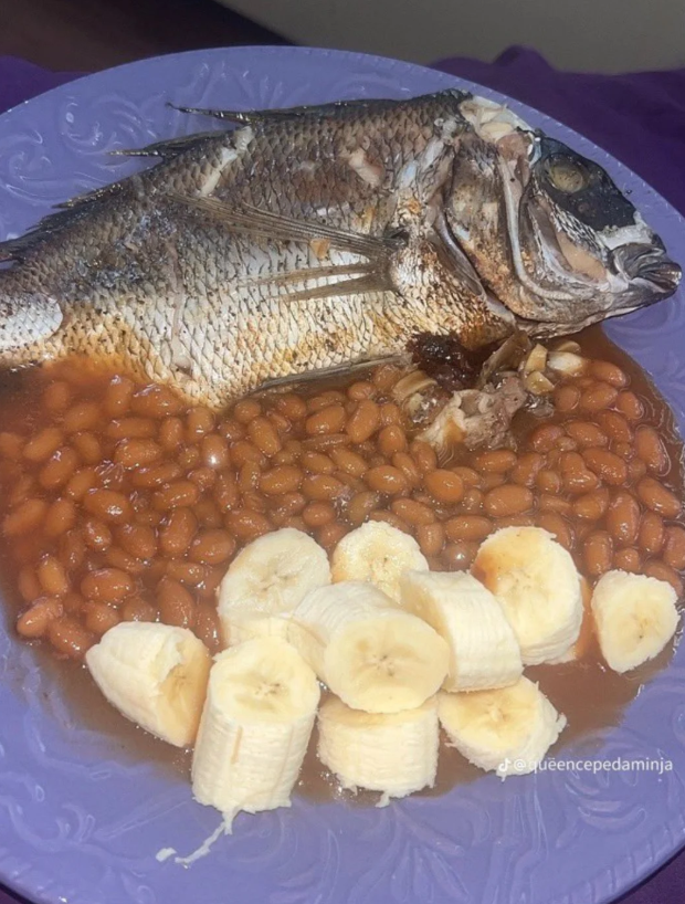 dequeencepedaminja