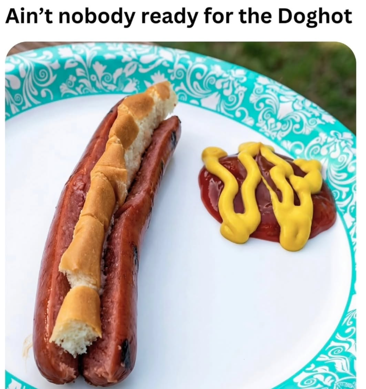 Ain't nobody ready for the Doghot