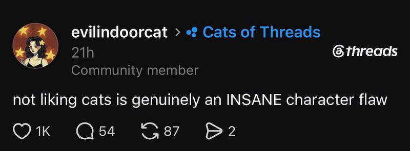 evilindoorcat > • Cats of Threads 21h Community member threads not liking cats is genuinely an INSANE character flaw 1K Q 54 87 > 2