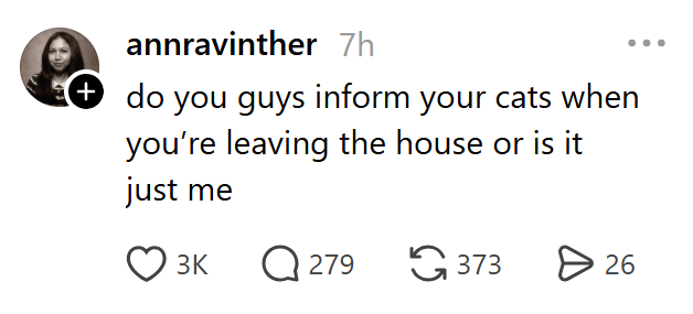 annravinther 7h + do you guys inform your cats when you're leaving the house or is it just me 3K Q279 373 26
