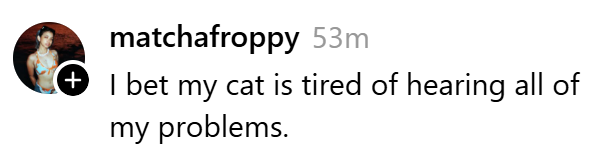 + matchafroppy 53m I bet my cat is tired of hearing all of my problems.