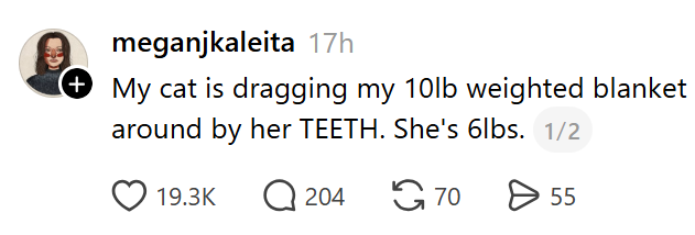 meganjkaleita 17h (+ My cat is dragging my 10lb weighted blanket around by her TEETH. She's 6lbs. 1/2 19.3K Q204 70 > 55