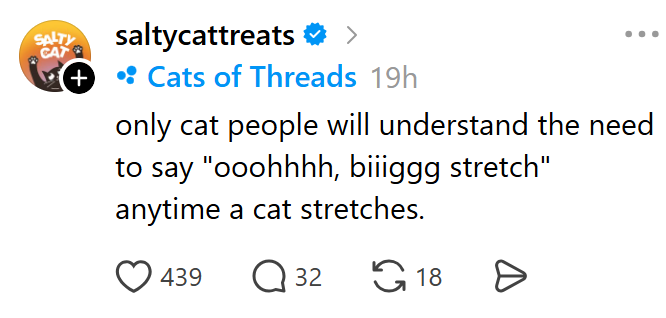 SALTY CAT + saltycattreats > • Cats of Threads 19h only cat people will understand the need to say "ooohhhh, biiiggg stretch" anytime a cat stretches. 439 ☐ 32 18