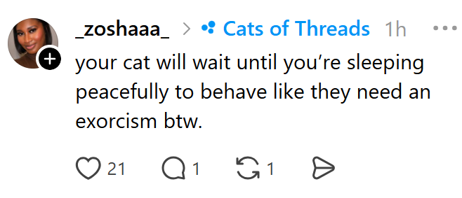 + _zoshaaa_ > • Cats of Threads 1h your cat will wait until you're sleeping peacefully to behave like they need an exorcism btw. 21 Q1 1