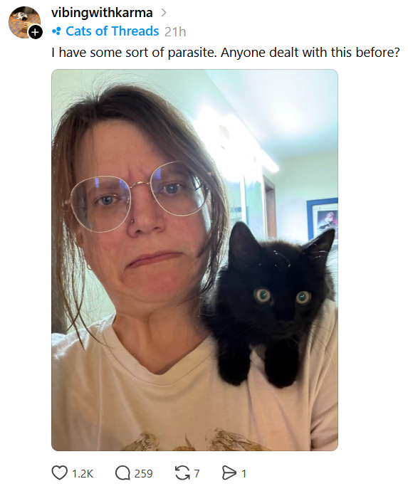 vibingwithkarma > + • Cats of Threads 21h I have some sort of parasite. Anyone dealt with this before? 1.2K Q259 G7 > 1