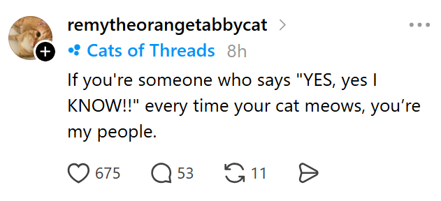 + remytheorangetabbycat > • Cats of Threads 8h If you're someone who says "YES, yes I KNOW!!" every time your cat meows, you're my people. 675 ☐ 53 11 Ө