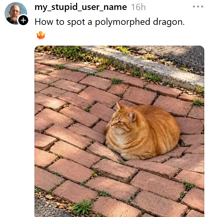 my_stupid_user_name 16h + How to spot a polymorphed dragon.