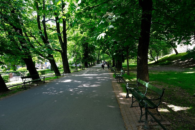 A public park walking trail where visitors were forced to wait during a couple's photoshoot.