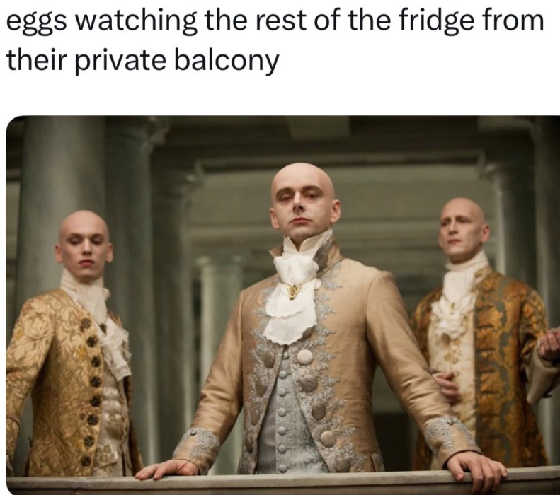 eggs watching the rest of the fridge from their private balcony
