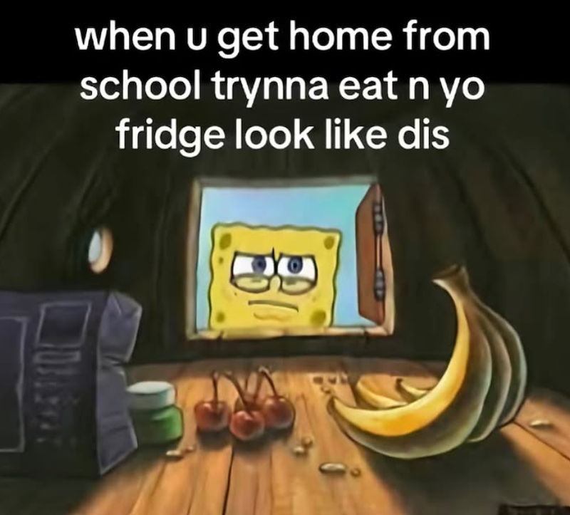 when u get home from school trynna eat n yo fridge look like dis