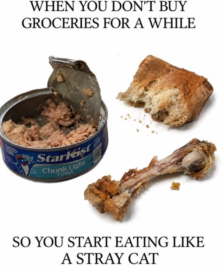 WHEN YOU DON'T BUY GROCERIES FOR A WHILE Starkist Chunk Light TUNA SO YOU START EATING LIKE A STRAY CAT