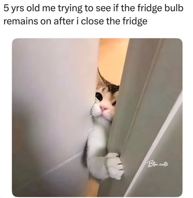 5 yrs old me trying to see if the fridge bulb remains on after i close the fridge Btw.cutz