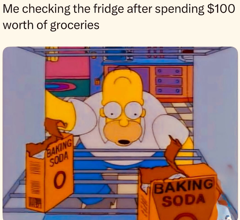 Me checking the fridge after spending $100 worth of groceries BAKING SODA O BAKING SODA