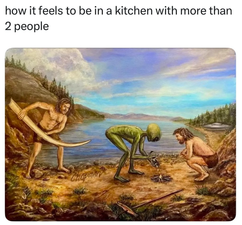 how it feels to be in a kitchen with more than 2 people Chapman
